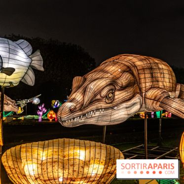 Jurassique en voir d'illumination, le parcours de lumières du jardin d'acclimatation 2024, les photos  -  A7C7051