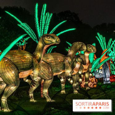 Jurassique en voir d'illumination, le parcours de lumières du jardin d'acclimatation 2024, les photos  -  A7C7054
