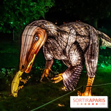 Jurassique en voir d'illumination, le parcours de lumières du jardin d'acclimatation 2024, les photos  -  A7C7067