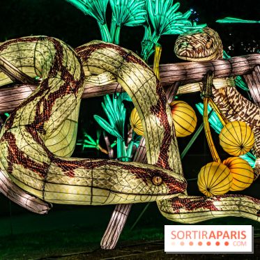 Jurassique en voir d'illumination, le parcours de lumières du jardin d'acclimatation 2024, les photos  -  A7C7070