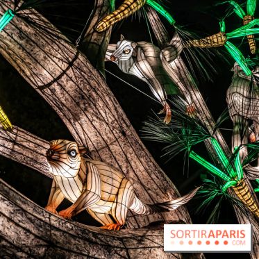 Jurassique en voir d'illumination, le parcours de lumières du jardin d'acclimatation 2024, les photos  -  A7C7079