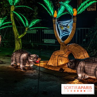 Jurassique en voir d'illumination, le parcours de lumières du jardin d'acclimatation 2024, les photos  -  A7C7092
