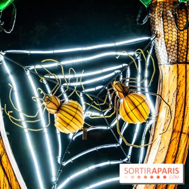 Jurassique en voir d'illumination, le parcours de lumières du jardin d'acclimatation 2024, les photos  -  A7C7094