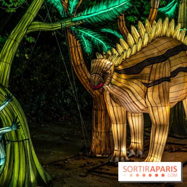Jurassique en voir d'illumination, le parcours de lumières du jardin d'acclimatation 2024, les photos  -  A7C7095
