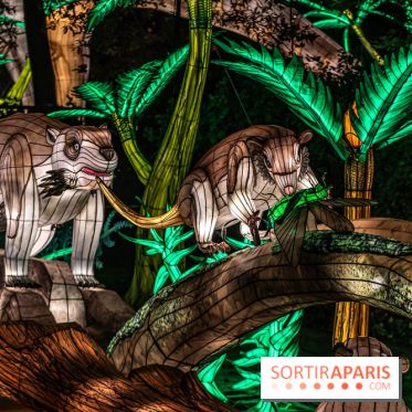 Jurassique en voir d'illumination, le parcours de lumières du jardin d'acclimatation 2024, les photos  -  A7C7098