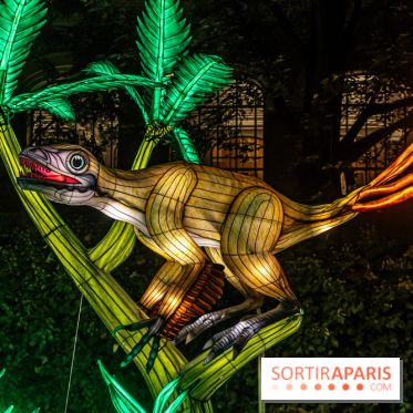 Jurassique en voir d'illumination, le parcours de lumières du jardin d'acclimatation 2024, les photos  -  A7C7099