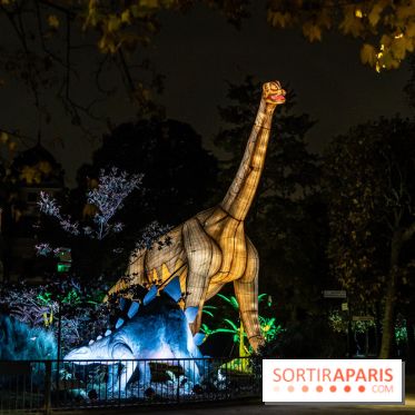 Jurassique en voir d'illumination, le parcours de lumières du jardin d'acclimatation 2024, les photos  -  A7C7107