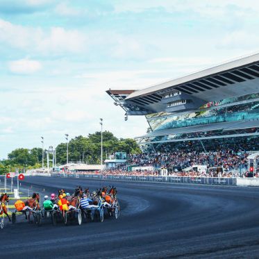  Bon plan : venez fêter le rois et les reines ! Ce dimanche c'est la galette pour les petits… et les grands à l’Hippodrome ! - tribunes1
