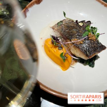 Onyx - Poisson, carotte, gingembre