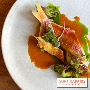 Fugue Restaurant - Rouget barbet, sauce bouillabaisse