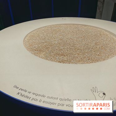 Paris, capitale de la perle
