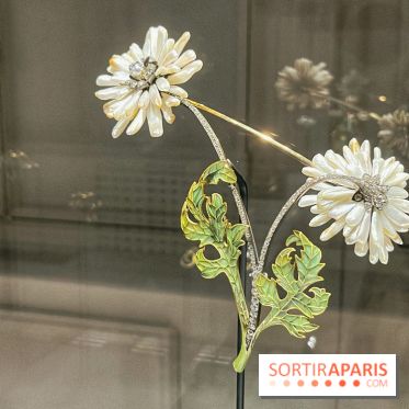 Paris, capitale de la perle  - IMG 6571