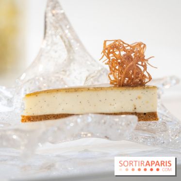 La bûche de Noël Hespéridée du Peninsula Paris 2024 et galette des rois 2025 -  A7C2242