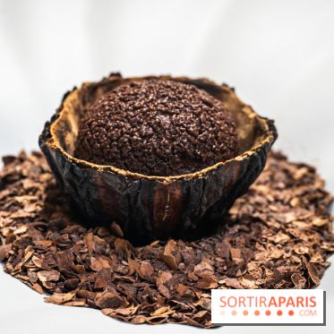 La bûche de Noël Hespéridée du Peninsula Paris 2024 et galette des rois 2025 -  A7C2260