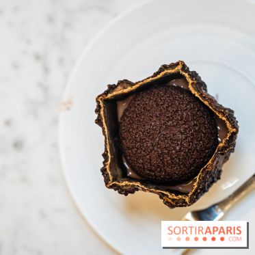 La bûche de Noël Hespéridée du Peninsula Paris 2024 et galette des rois 2025 -  A7C2272