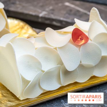 La bûche coffrets de Noël en trompe l'œil de Ladurée 2024 par Julien Alvarez et les créations de fête -  A7C2310