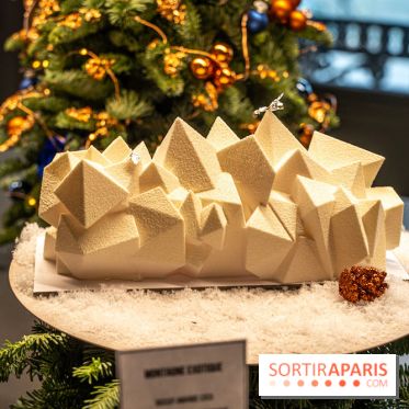 Les bûches de Noël de Jeffrey Cagnes 2024 - photos -  Montagne exotique Cupra