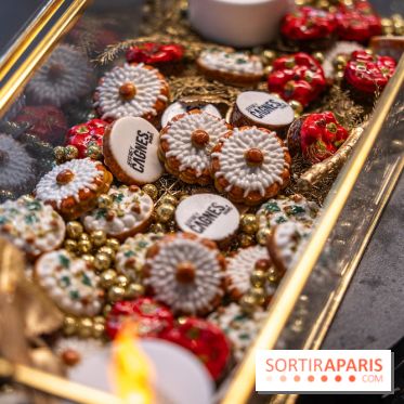 Les bûches de Noël de Jeffrey Cagnes 2024 - photos -  fèves 