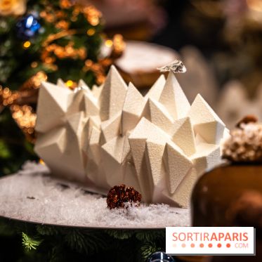 Les bûches de Noël de Jeffrey Cagnes 2024 - photos -  Montage exotique - Cupra