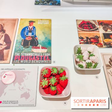 Migrations, une odyssée humaine : l'exposition-événement se dévoile au Musée de l'Homme à Paris