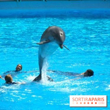Parc Asterix
Dauphins