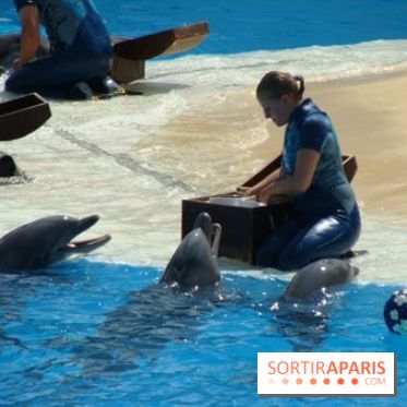 Parc Asterix
Dauphins