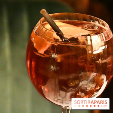 Le Wagon Bleu Paris, un restaurant insolite et festif aux accents corses - IMG 3315