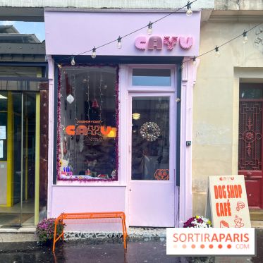 CAYU Canidés Club, la boutique d'accessoires dog friendly - nos photos