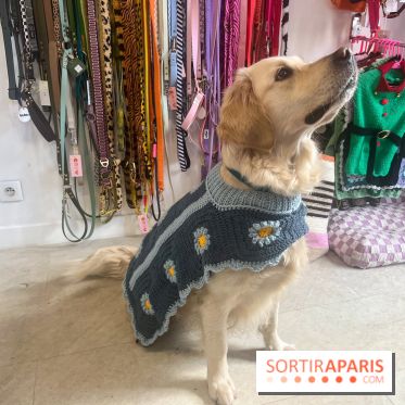 CAYU Canidés Club, la boutique d'accessoires dog friendly - nos photos