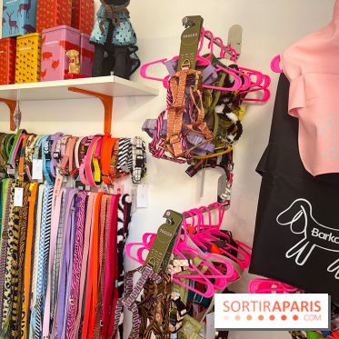 CAYU Canidés Club, la boutique d'accessoires dog friendly - nos photos