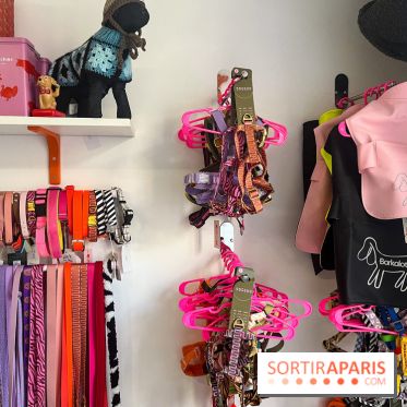 CAYU Canidés Club, la boutique d'accessoires dog friendly - nos photos