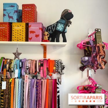 CAYU Canidés Club, la boutique d'accessoires dog friendly - nos photos