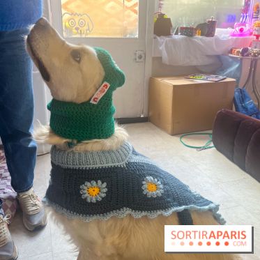 CAYU Canidés Club, la boutique d'accessoires dog friendly - nos photos