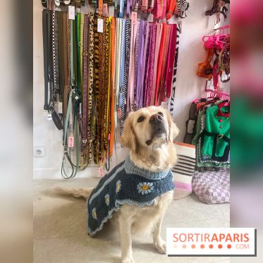 CAYU Canidés Club, la boutique d'accessoires dog friendly - nos photos