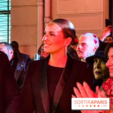 Les illuminations de Noël 2024 du Faubourg Saint Honoré avec Emmanuelle Béart - IMG 1509 jpg 2