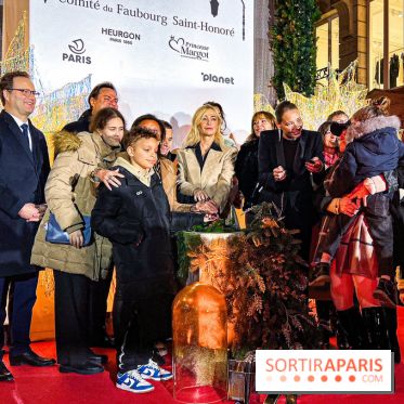 Les illuminations de Noël 2024 du Faubourg Saint Honoré avec Emmanuelle Béart - IMG 1532 jpg 2