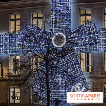 Les illuminations de Noël 2024 du Faubourg Saint Honoré avec Emmanuelle Béart - IMG 1629 jpg 2