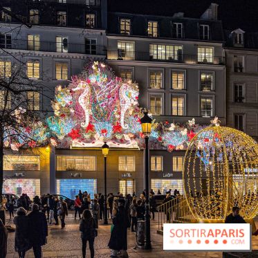 Les illuminations de Noël 2024 du Faubourg Saint Honoré avec Emmanuelle Béart - IMG 1591 jpg 3