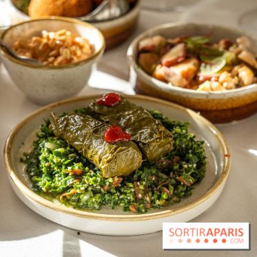 Osmossi par la maison Mavrommatis, le restaurant grec Paris 16e -  A7C7186