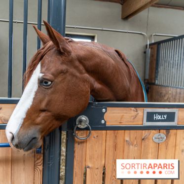 Bo Ranch, le restaurant - bar, site événementiel et lieu de compétition de Reining -  écuries - cheval
