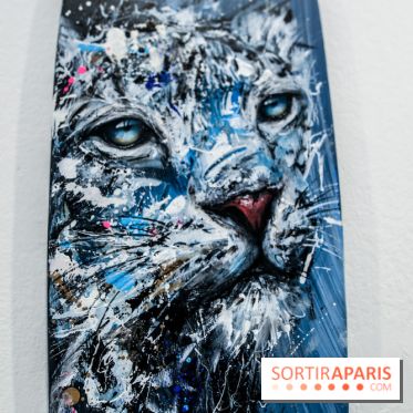 Boards to be solidaire 2024, nos photos
