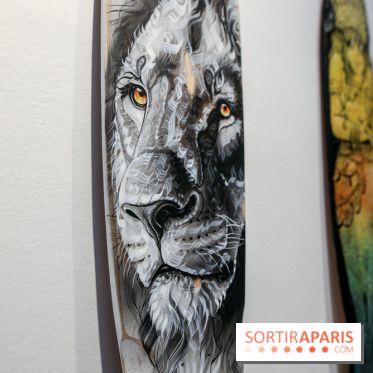 Boards to be solidaire 2024, nos photos
