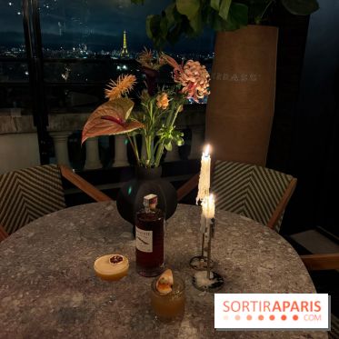 Terrazza eminente - vue sur Paris