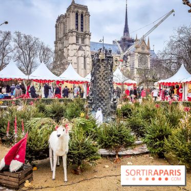 Le Marché de Noël de Notre Dame