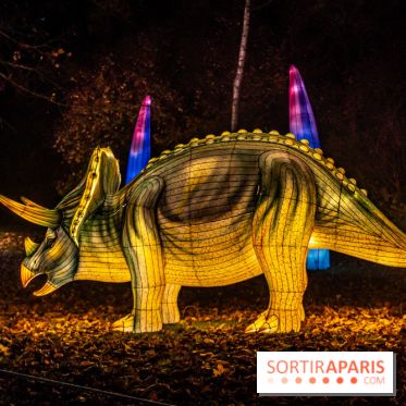 L'Odyssée Lumineuse 2024, le parcours de lumières au Parc Floral - les photos -  dinosaure