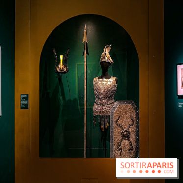 Bijoux de scène de l'Opéra de Paris : l'exposition de parures merveilleuses au Palais Garnier - IMG 2419 jpg