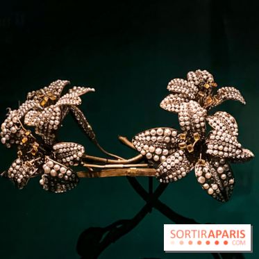 Bijoux de scène de l'Opéra de Paris : l'exposition de parures merveilleuses au Palais Garnier - IMG 2534 jpg