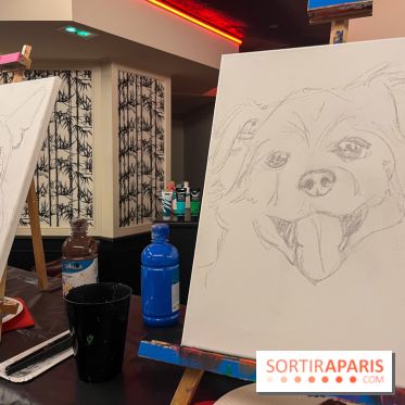 Paint your pet, l'atelier créatif pour peindre votre animal de compagnie - nos photos - image00018