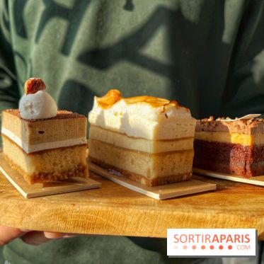 Bûches 2024 Land&Monkeys - IMG 7492