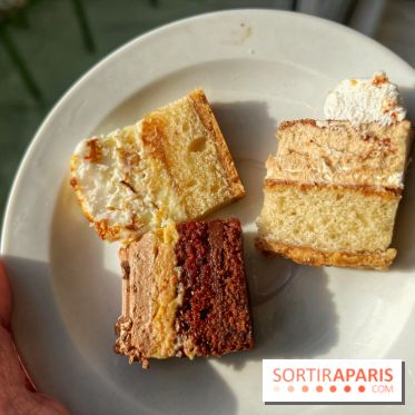 Bûches 2024 Land&Monkeys - IMG 7495